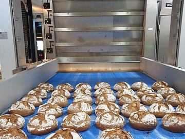 Brötchen aus Backofen von Albert Reiff Backofenbau 
